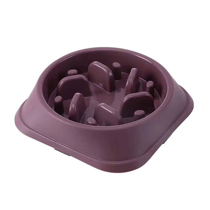PacePup Slow Feeding Bowl